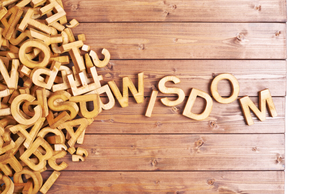 The One Thing Every Business Needs: Wisdom