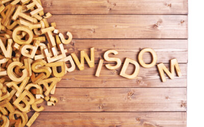 The One Thing Every Business Needs: Wisdom