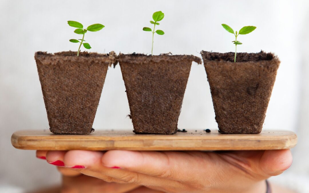 The Incredible Power of Small Changes