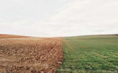 5 Steps to Change Your Attitude