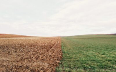5 Steps to Change Your Attitude