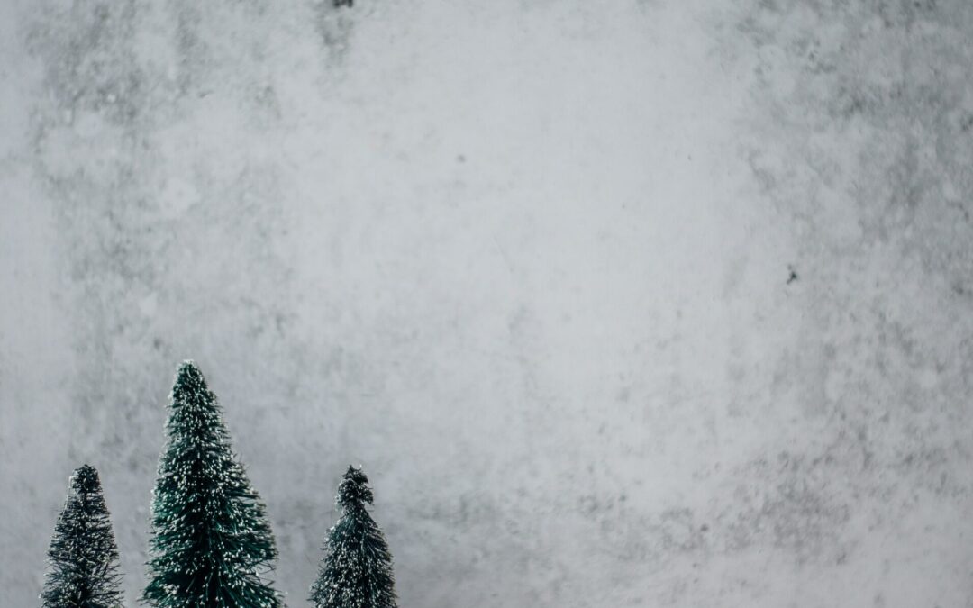 Holiday Strategy: Make Your Christmas More Meaningful