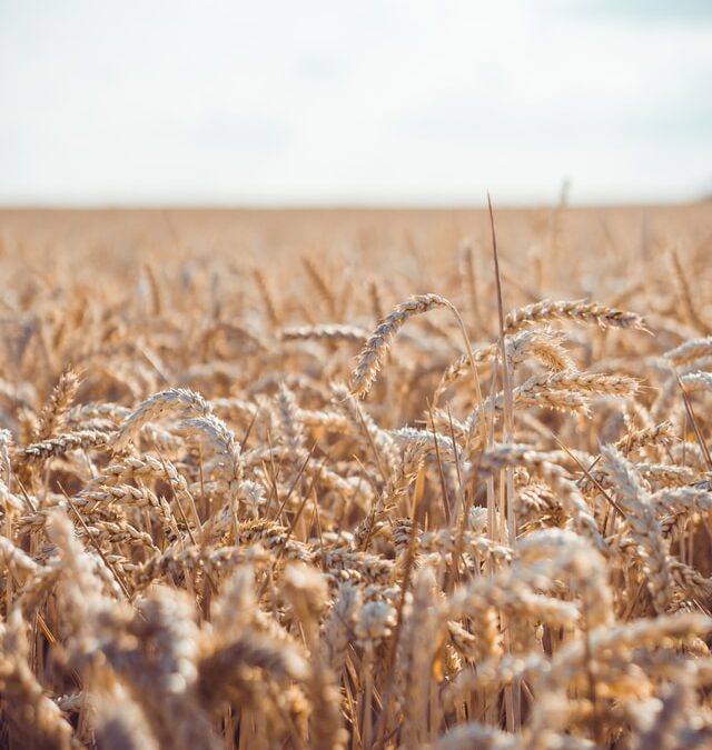 A Biblical Foundation for Business
