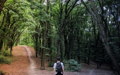 How to Prevent Mission Drift In your Organization