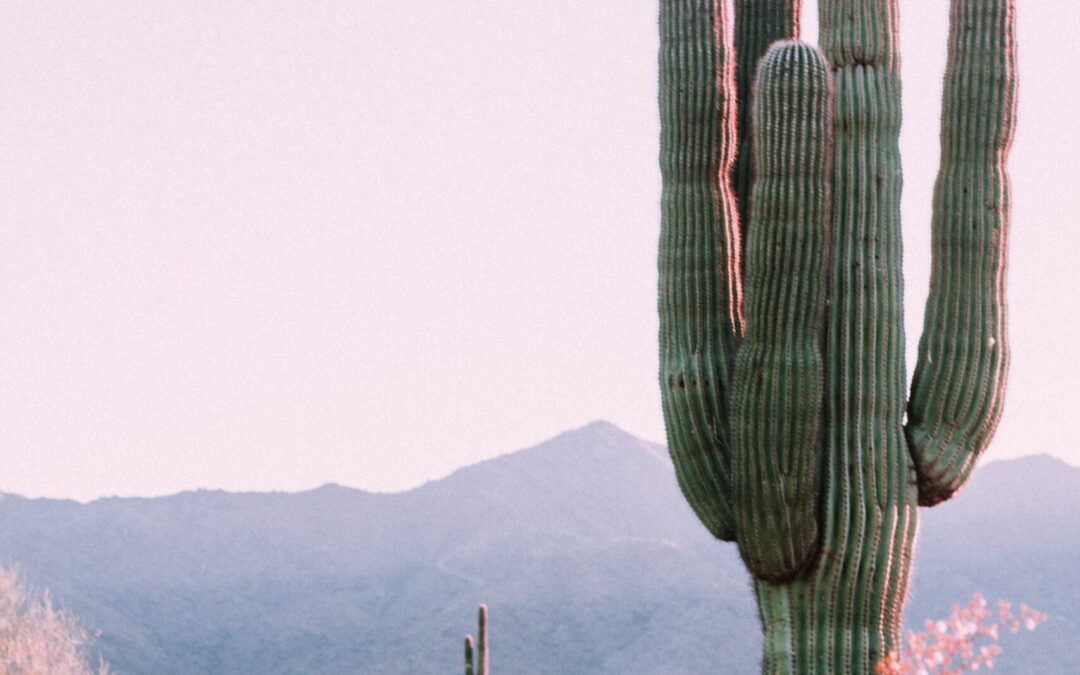 Investing: How to Grow through Resistance