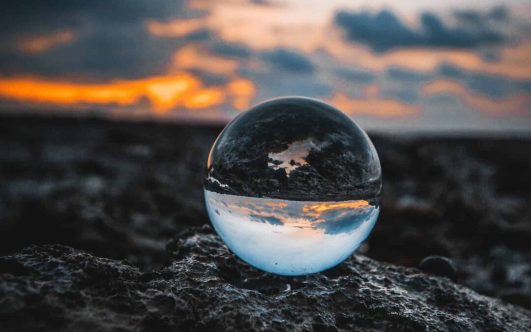 Wired for Growth: How to Enact Change in Your Environment