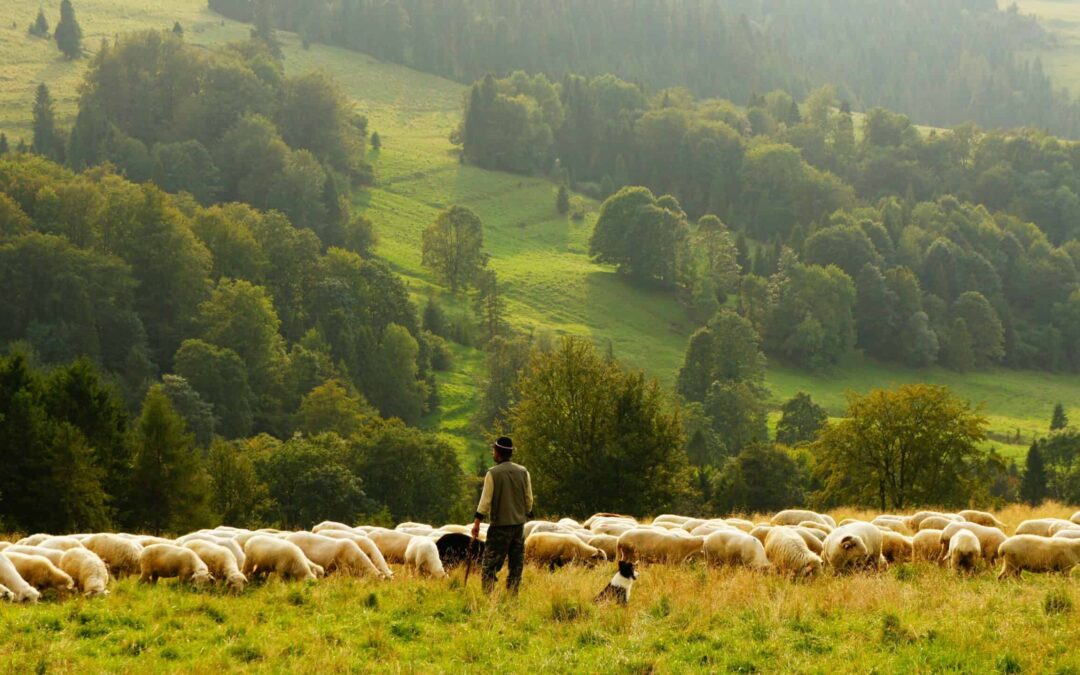 6 Powerful Leadership Qualities Jesus Embodied