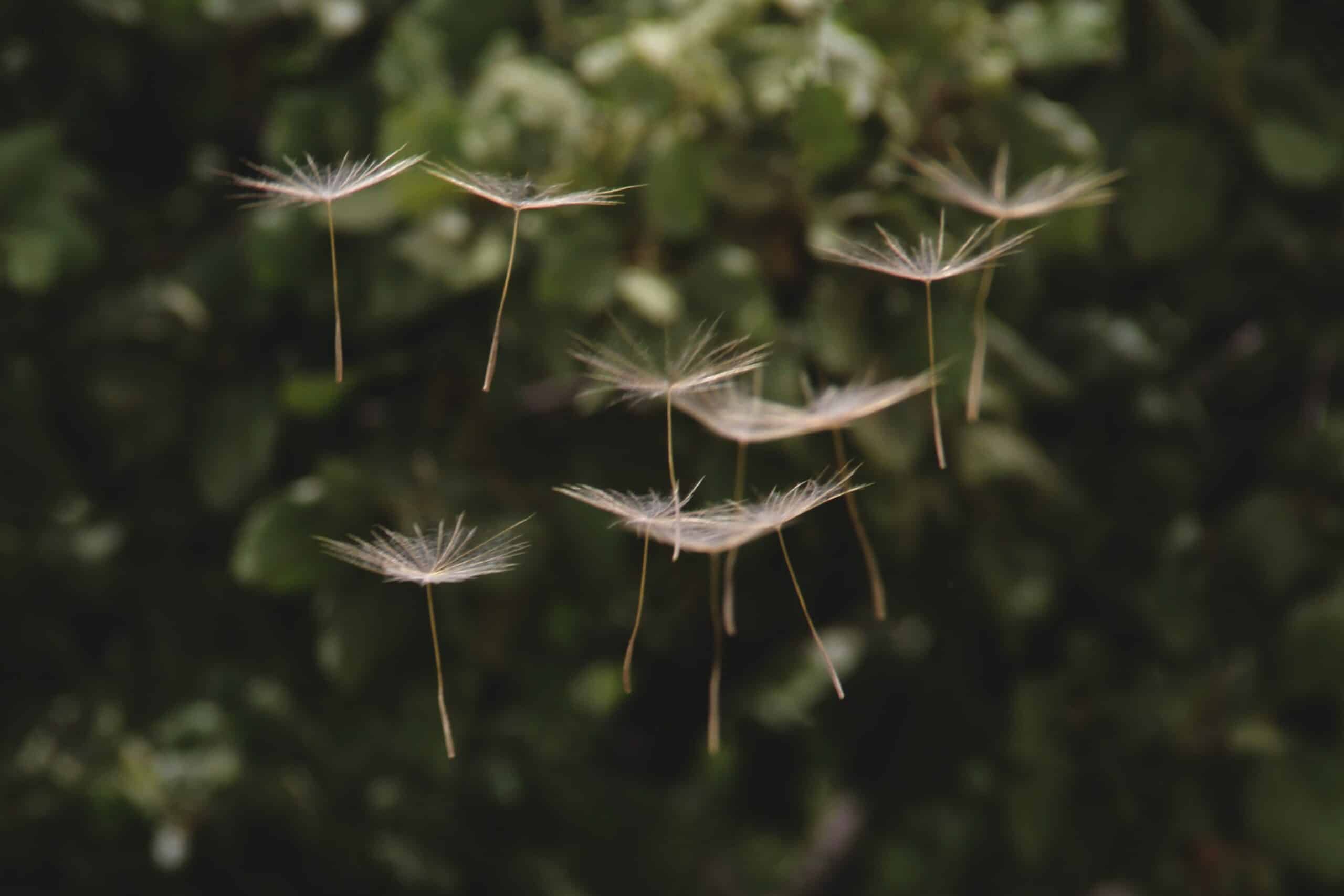 3 Business Lessons from the Parable of the Sower