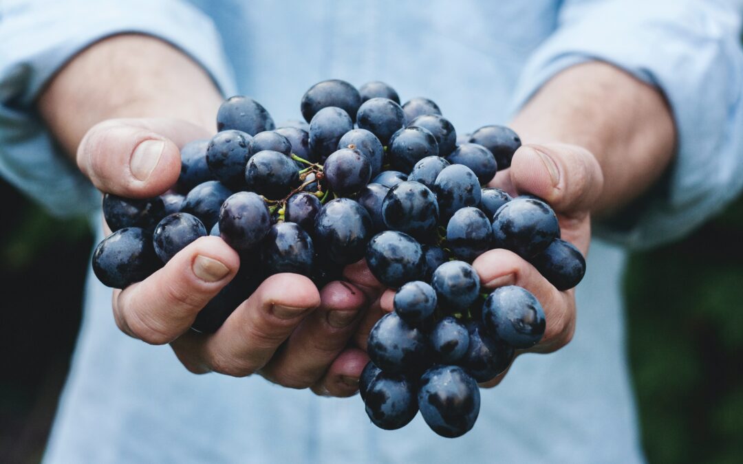 First Fruit Offerings: Explained