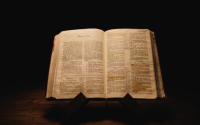 Wealthy Wisdom from The Book of Proverbs: 50+ Proverbs About Money