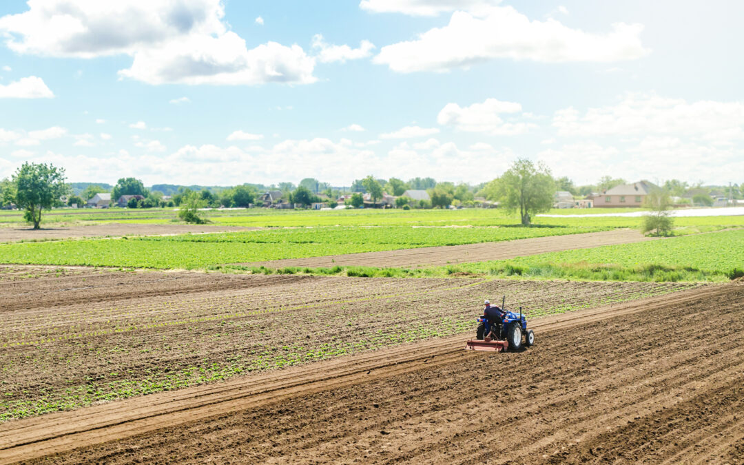 The Parable of the Sower: 3 Biblical Lessons for Building Wealth