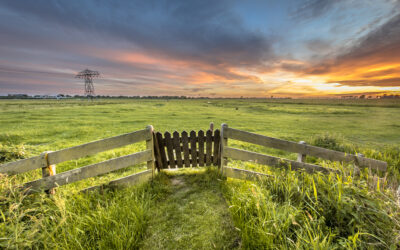 Possess Your Land: 4 Steps to Building Your Real Estate Blueprint