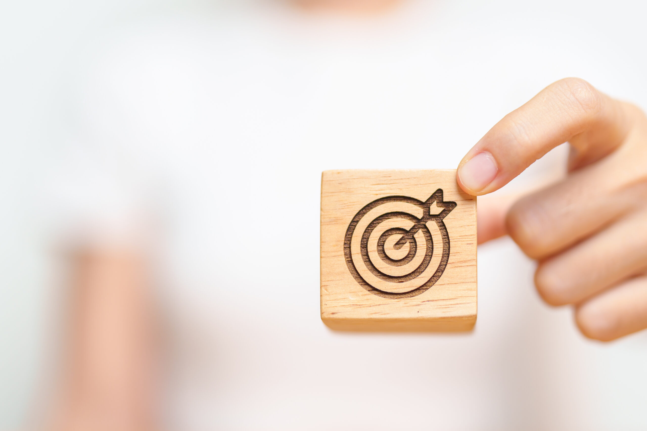 niche marketing with examples
