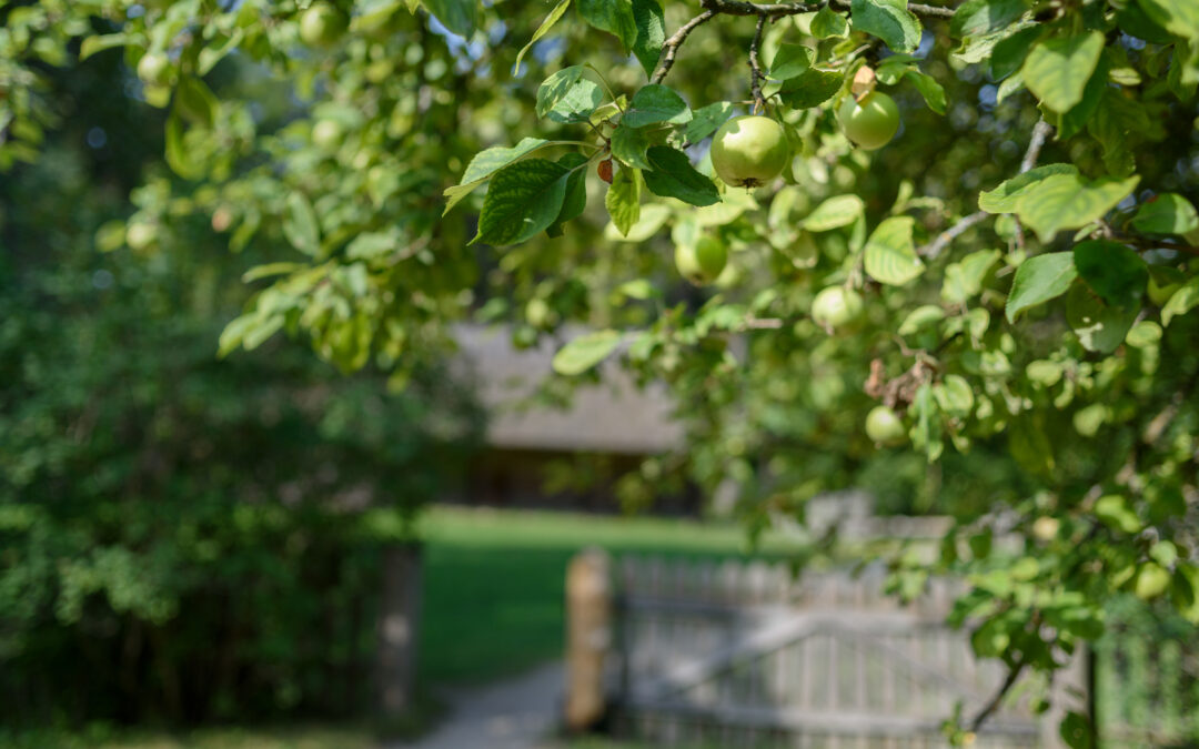 Generational Wealth Building Through Real Estate: 4 Steps to Growing Your Orchard